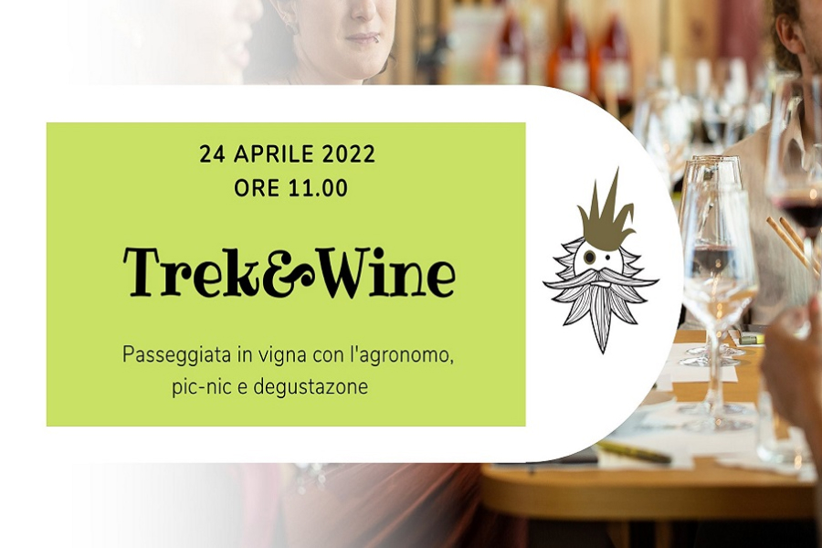Vallepicciola Trek & Wine