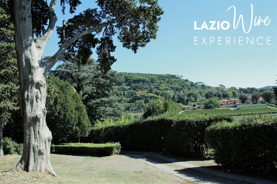 Lazio Wine Experience 2022