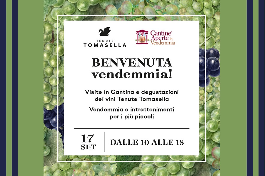 Tenute Tomasella Vendemmia 2023